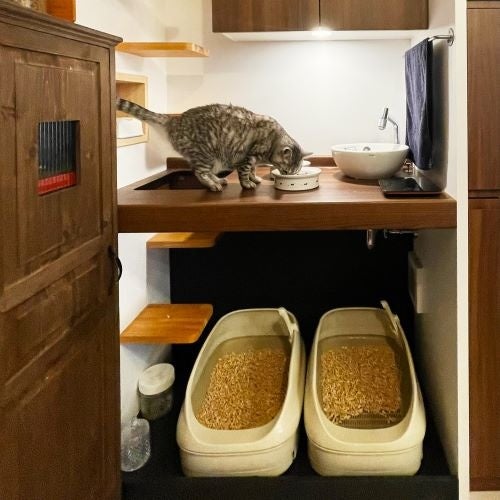 猫トイレと猫ダイニング