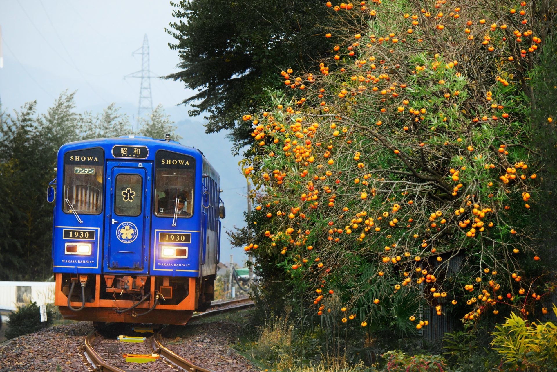 自然豊かな山間を走る若桜鉄道「昭和号」