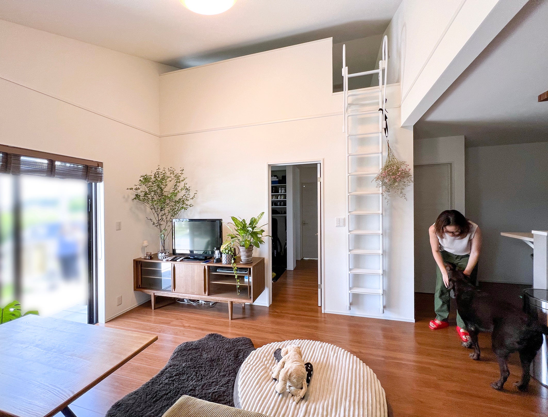 愛犬と平屋で暮らす