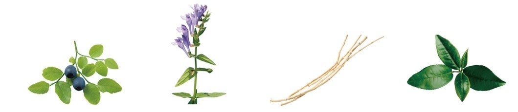 4種の植物エキス＊2 ビルベリー葉エキス、オウゴン根エキス、チガヤ根エキス、チャ葉エキス 