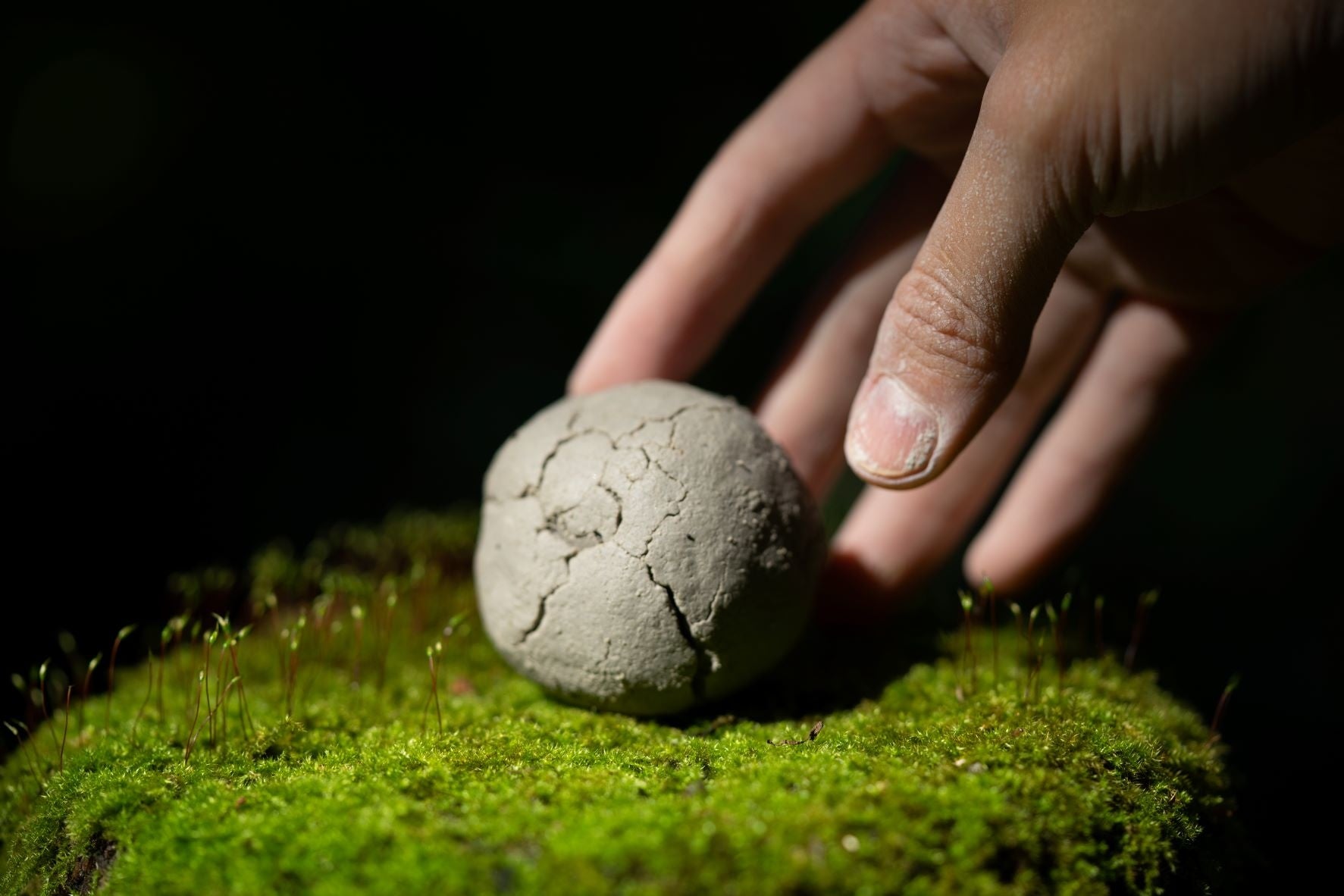 momokan + 伊藤光平《True Circulation; death connects birth.》