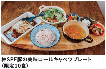 予約必須の限定ロールキャベツ