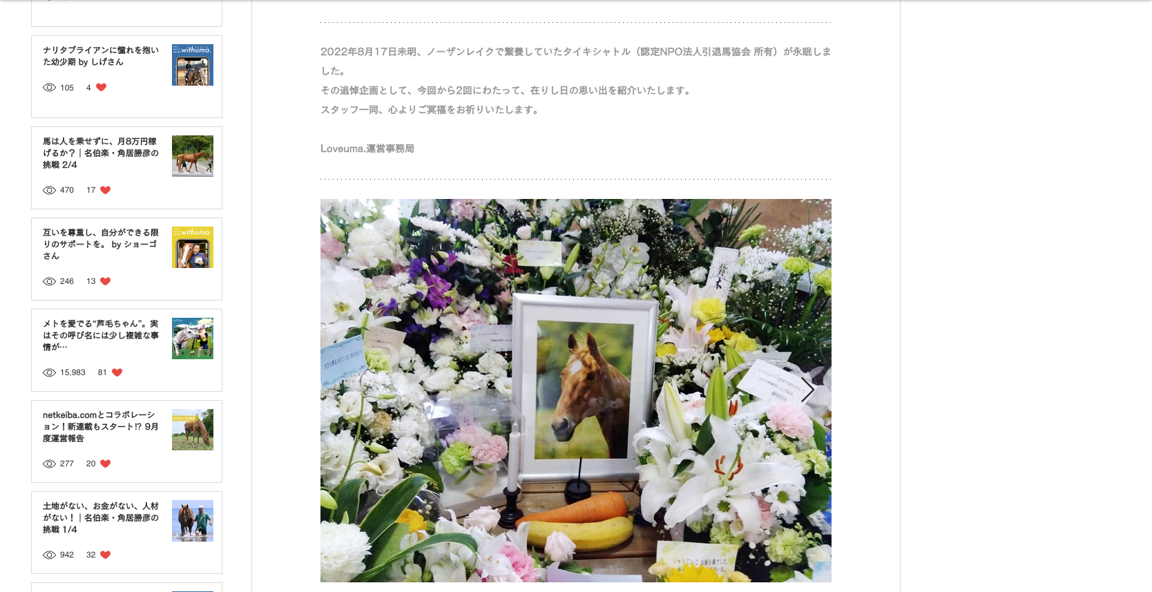 【追悼・タイキシャトル】旅立つ前夜の様子と、在りし日の思い出