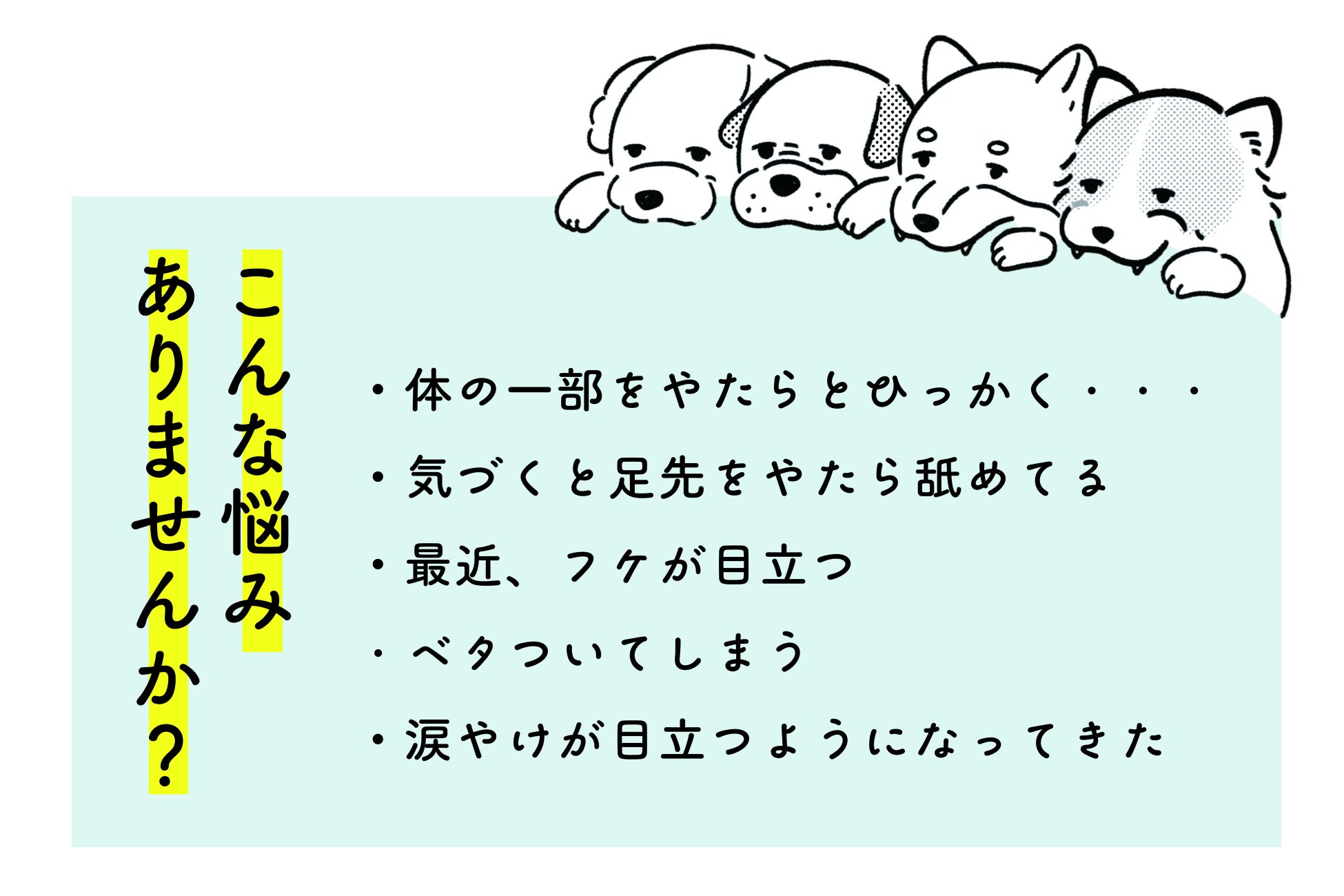 ワンちゃんとの生活でこんなお悩みありませんか?