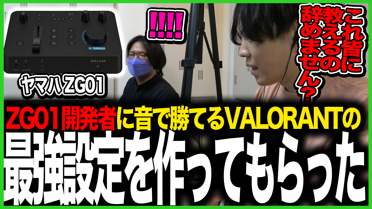 「ZG01-音で勝てるVALORANTのZG01設定-」