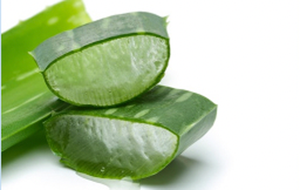 アロエ
