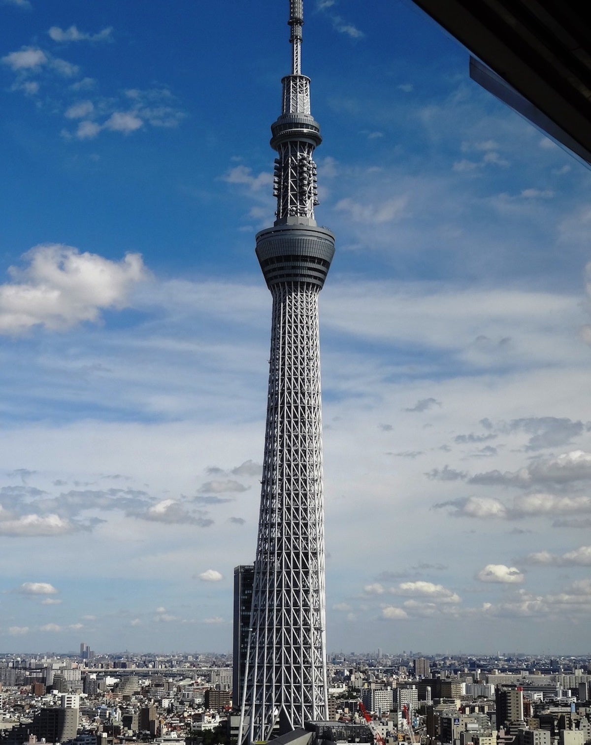 スカイツリーもすぐ近く