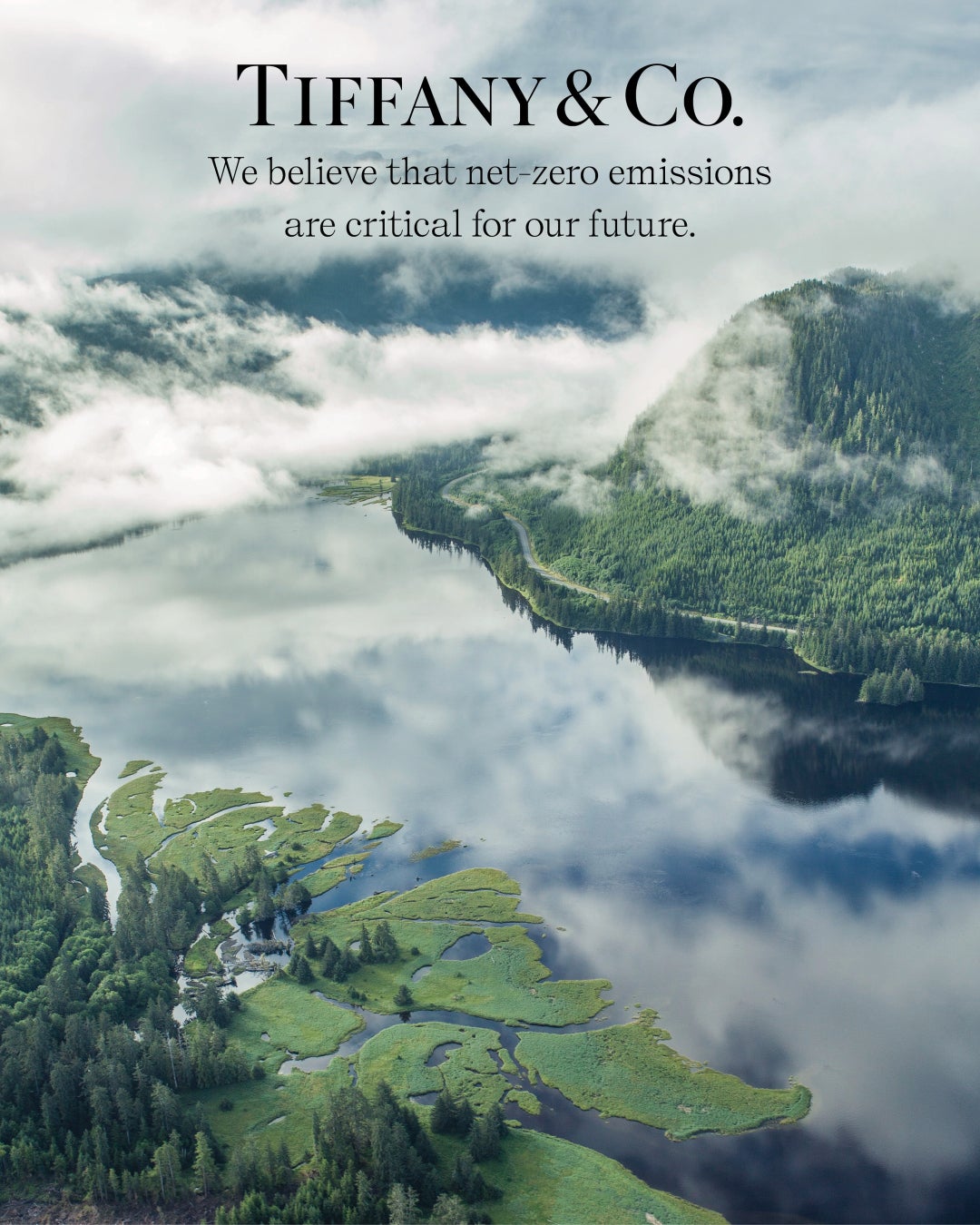 プリンス・オブ・ウェールズ島からケチカンへの飛行中に見た アラスカ南東部のトンガス国有林の航空写真 © Erika Nortemann/TNC