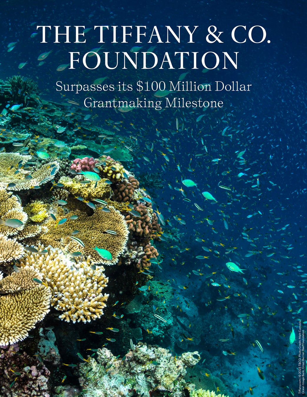 🄫Matt Curnock, Ocean Image Bank, Great Barrier Reef Foundation