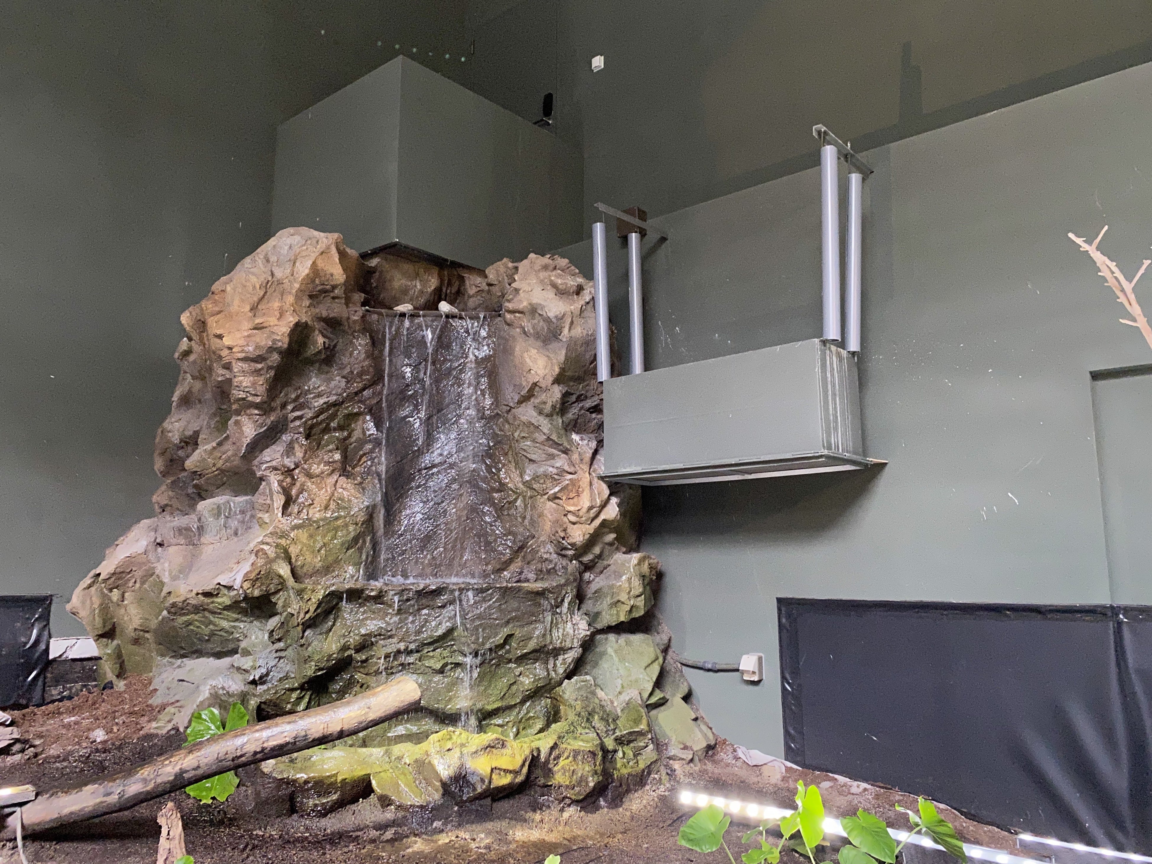 ナマケモノが登ってしまう滝