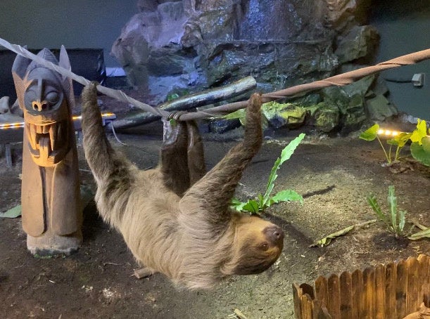 飼育担当クルーが手作りした移動用のロープ