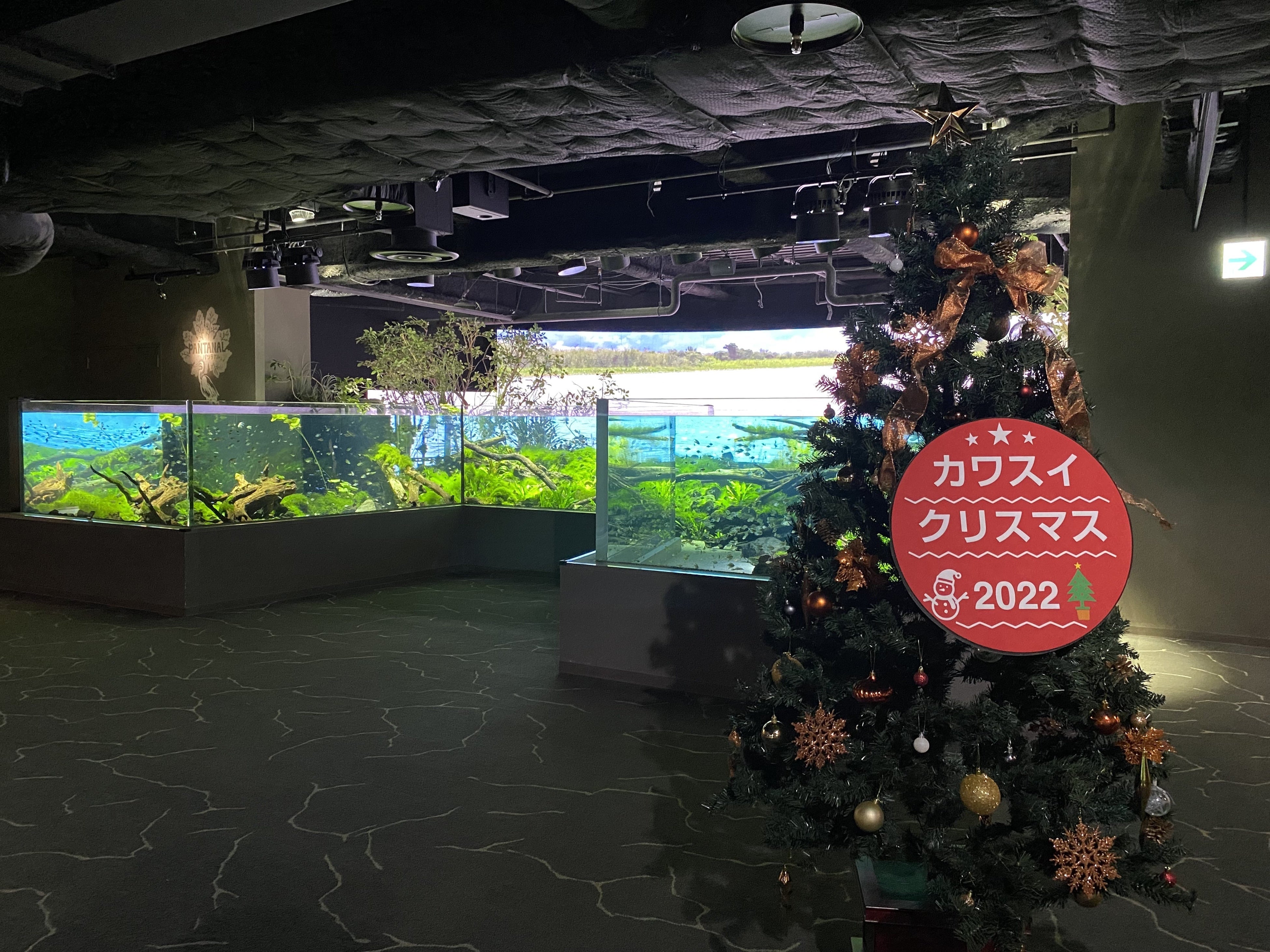 ▲フォトスポットイメージ