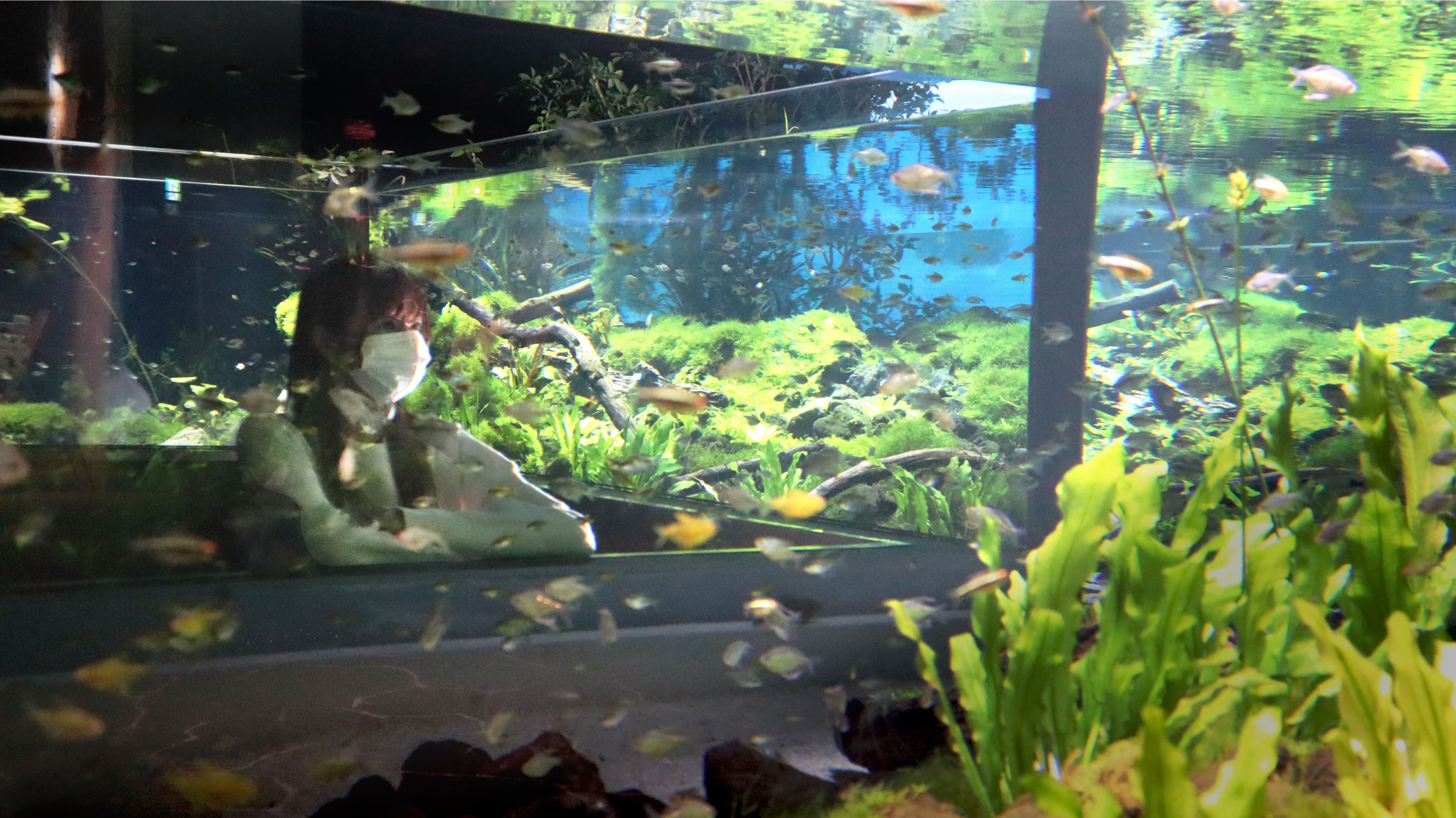 ▲パンタナルエリア