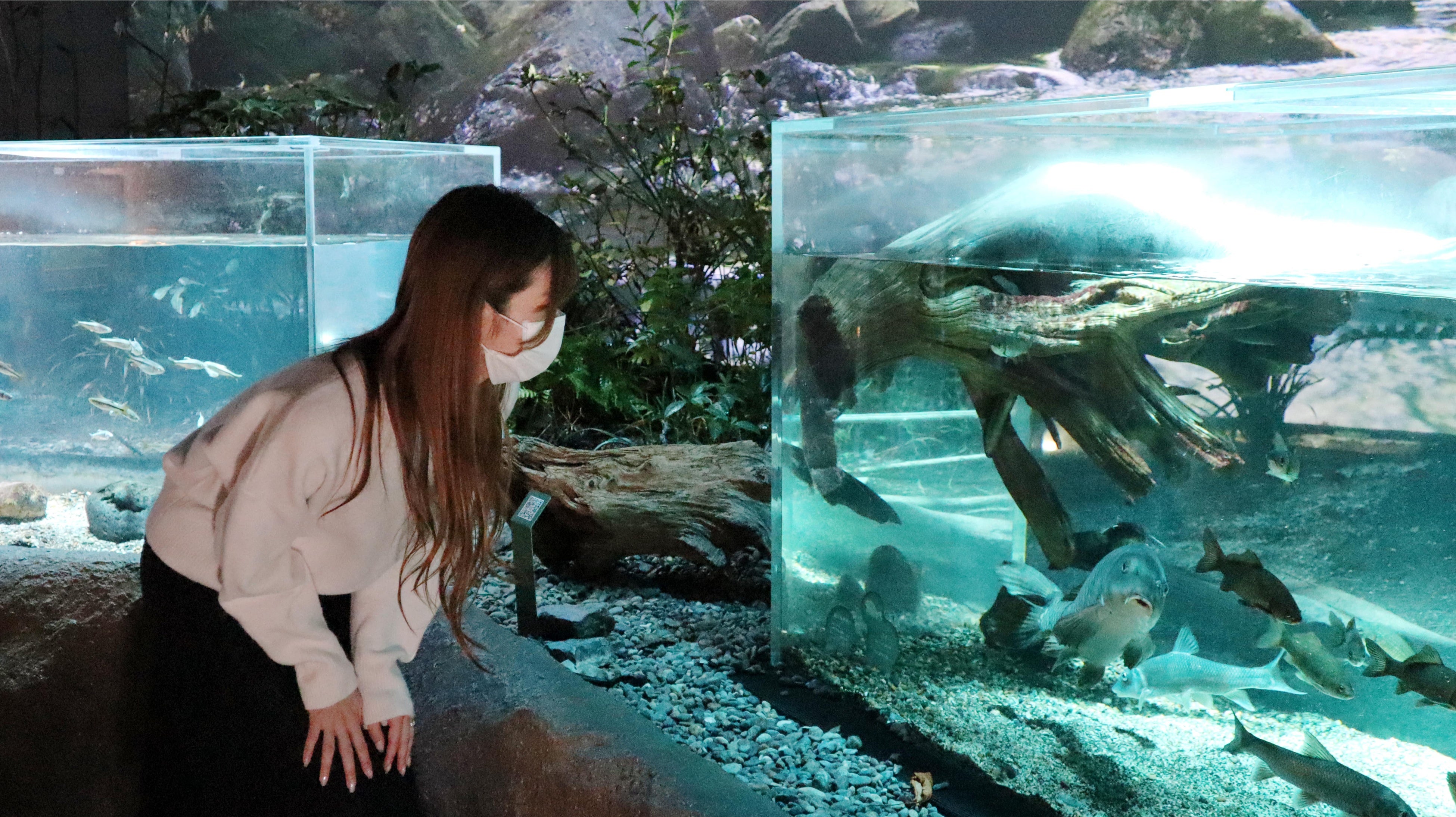 ▲多摩川ゾーン