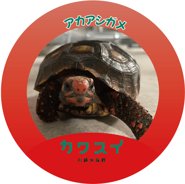 ▲ステッカーイメージ