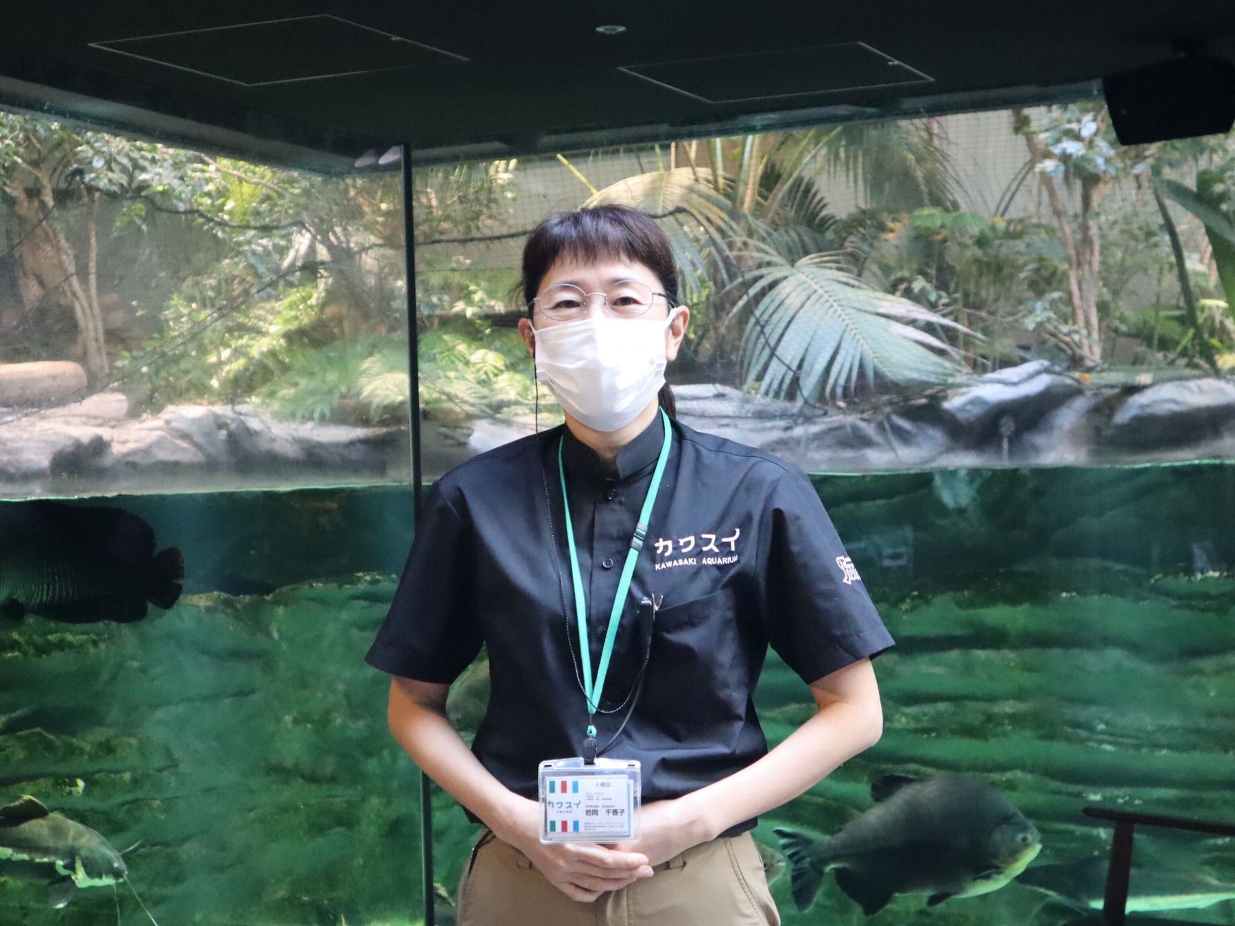 ▲「館長の気まぐれツアー」イメージ