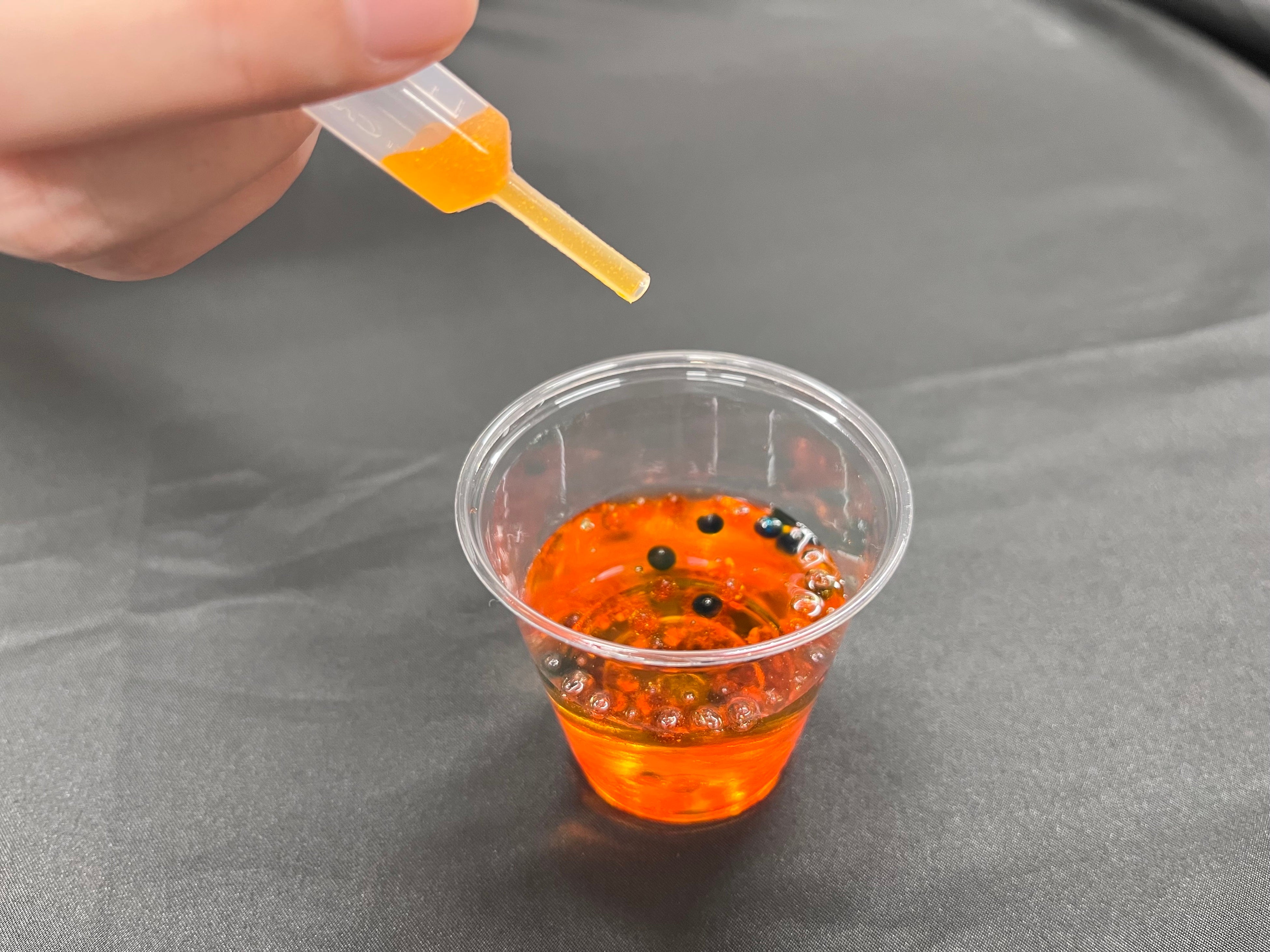 ▲人工いくら実験イメージ