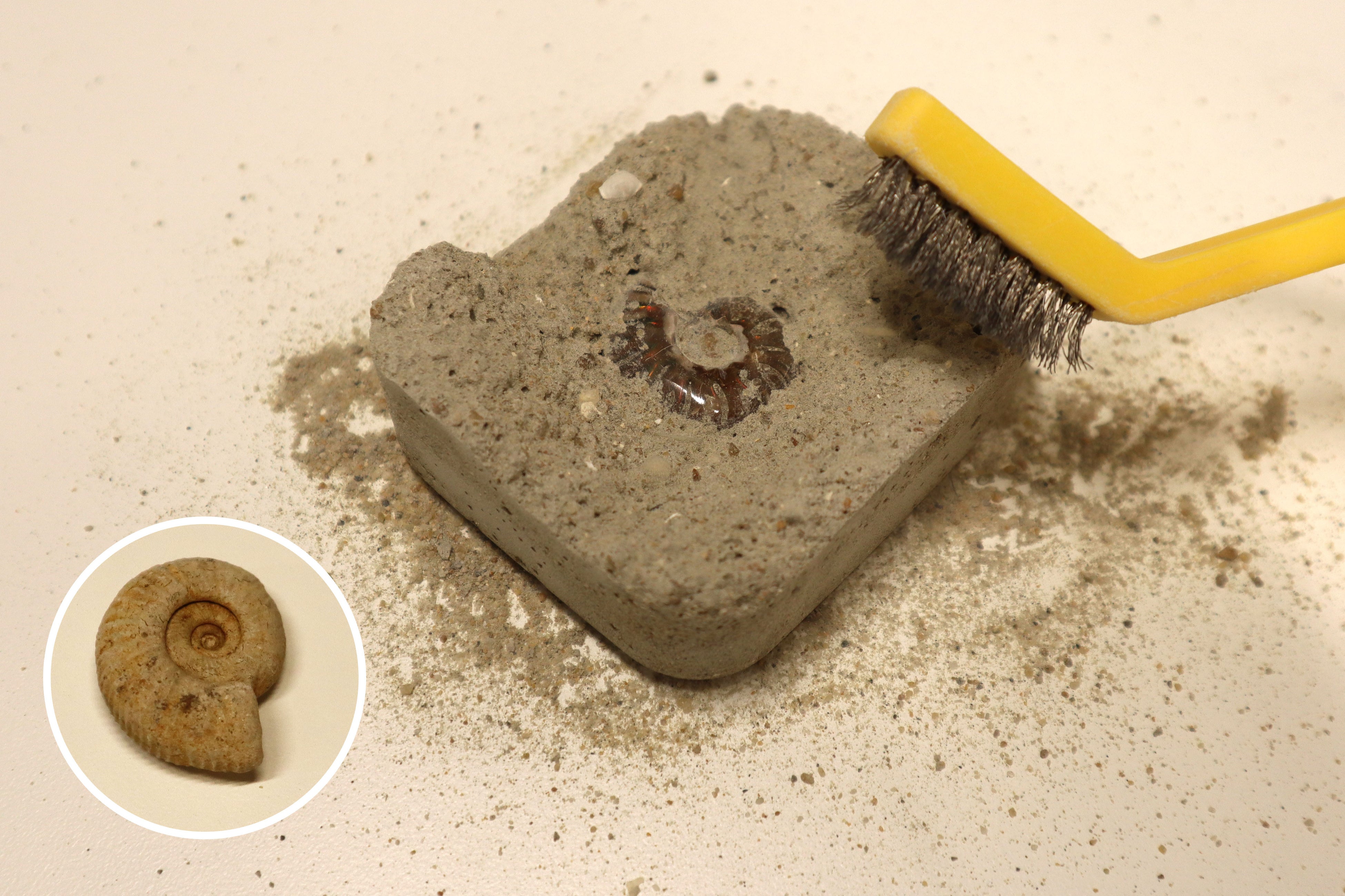 ▲制作イメージ