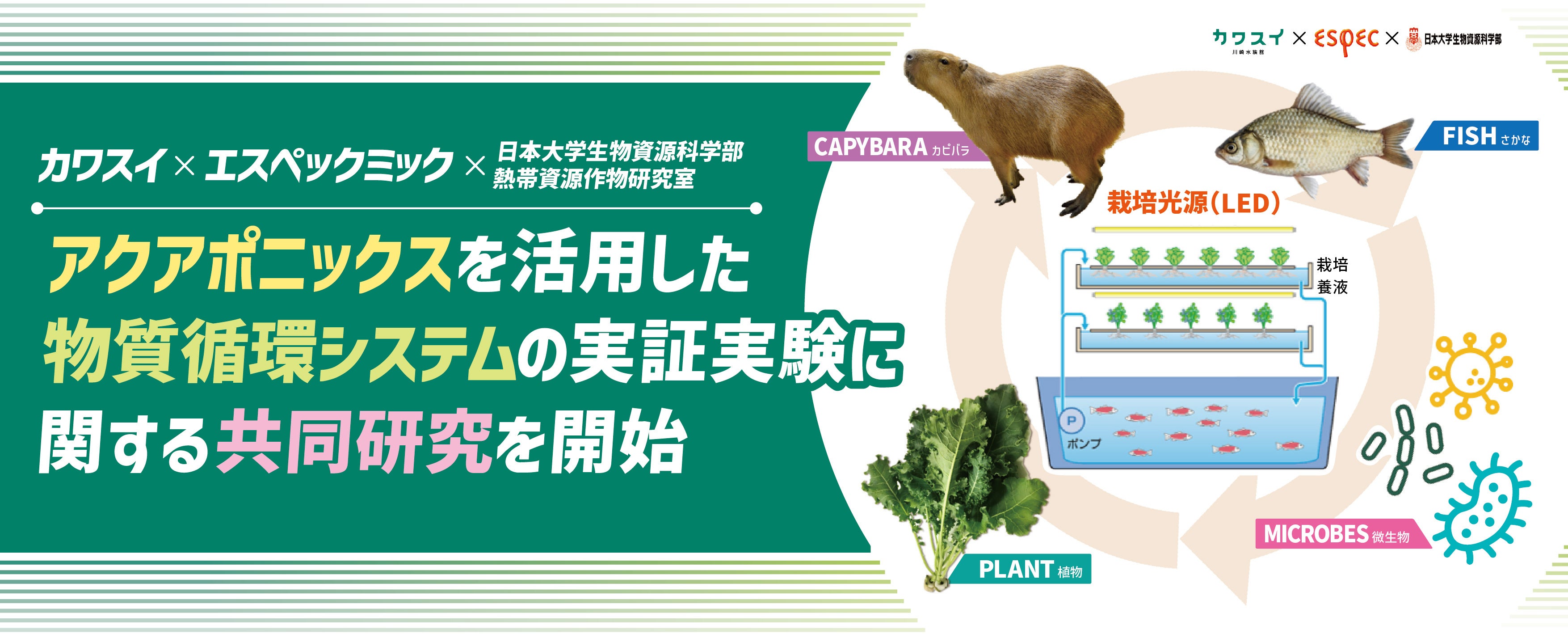 カワスイ×エスペックミック×日本大学生物資源科学部 熱帯資源