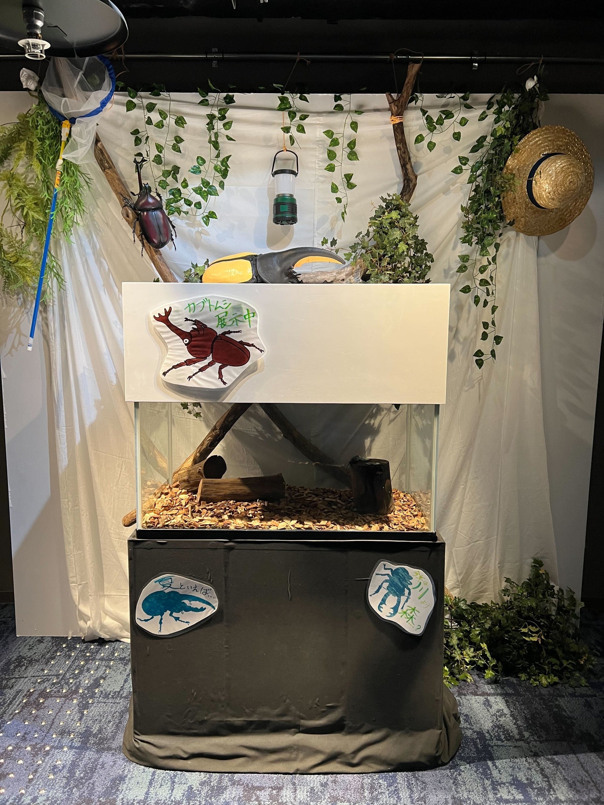 ▲企画展入口イメージ