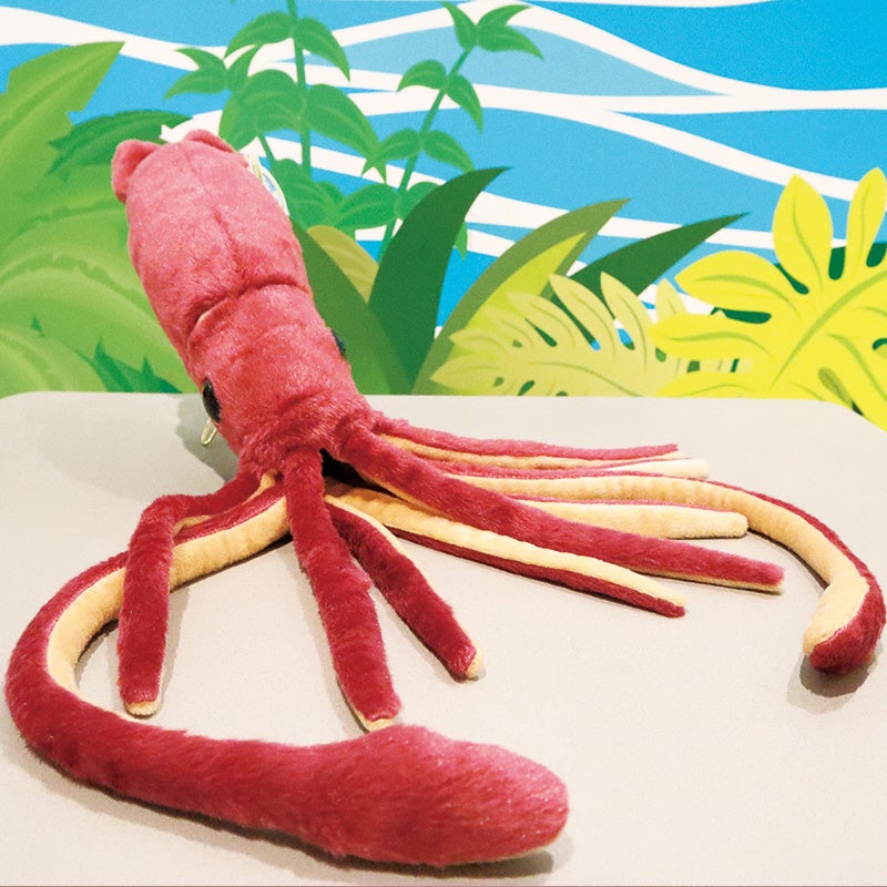 ダイオウイカ　ぬいぐるみ