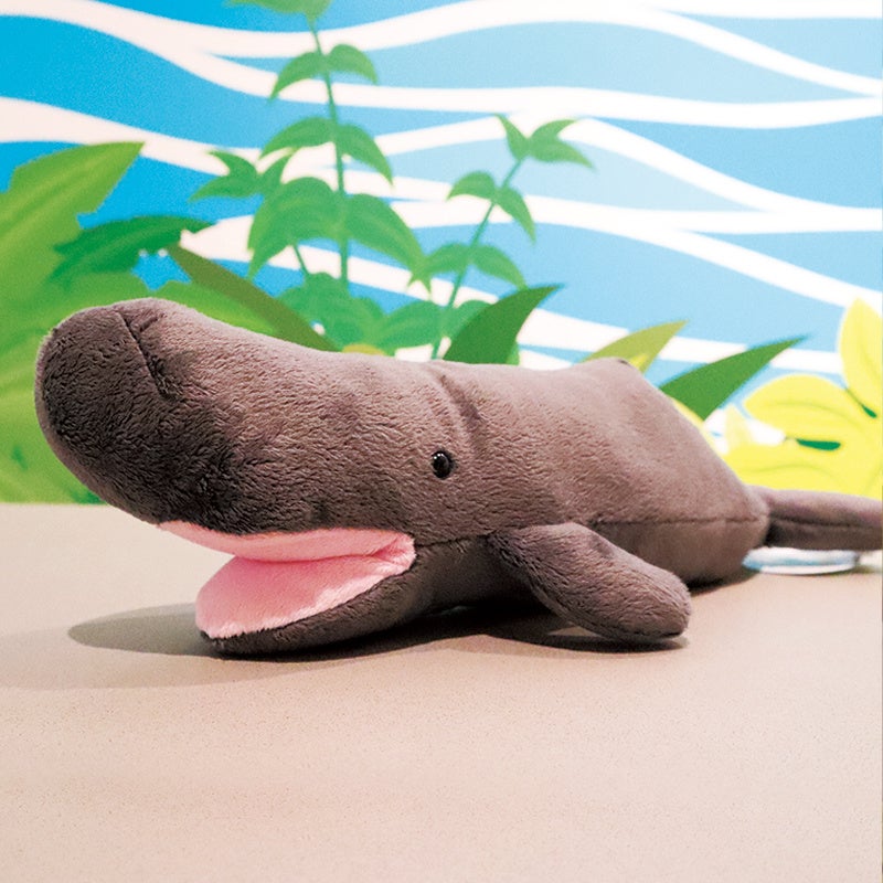 マッコウクジラ　ぬいぐるみ