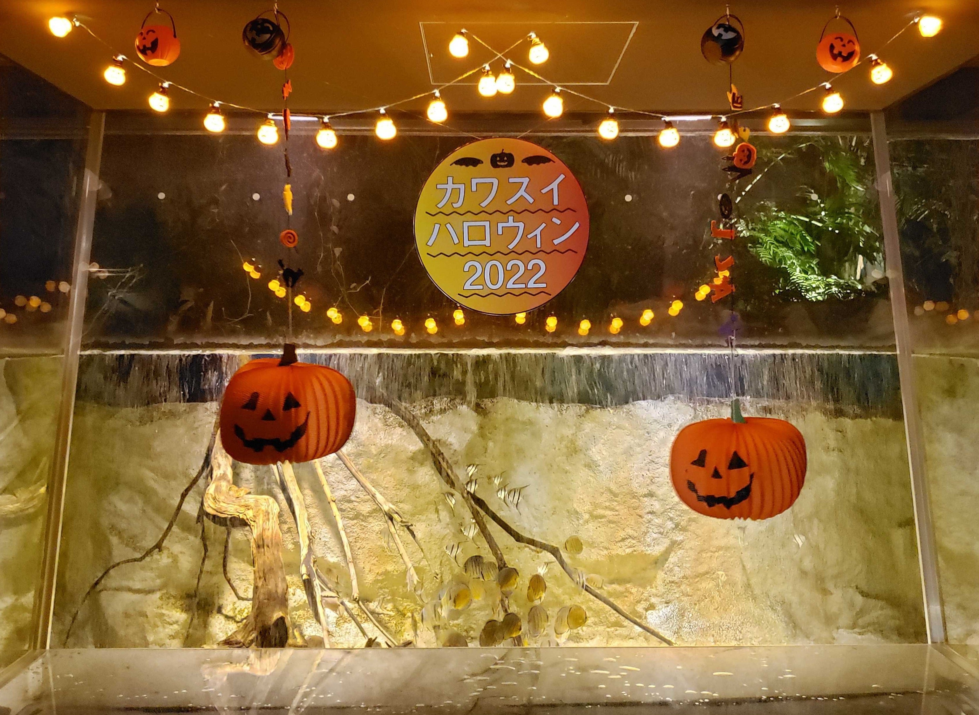 ▲フォトスポットイメージ