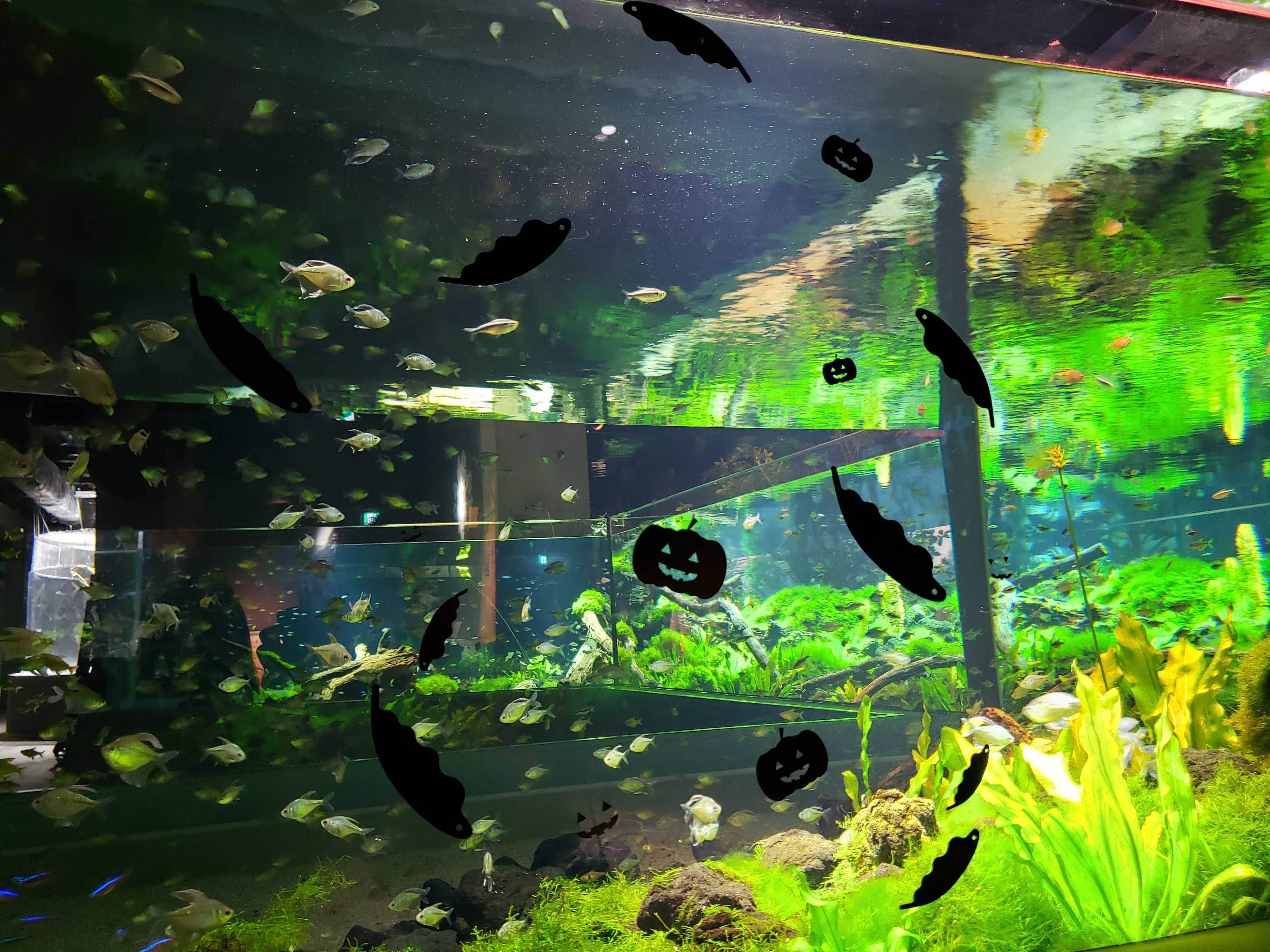 ▲ウォールステッカーイメージ