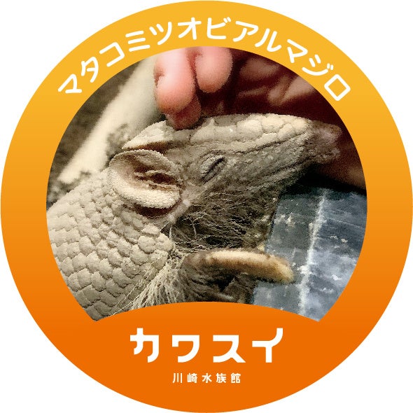 ▲オリジナルステッカー