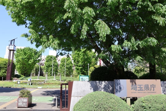 【埼玉県】夏のスタートは県営公園で!7月の県営公園で遊ぼう 【埼玉県】夏のスタートは県営公園で!7月の県営公園で遊ぼう