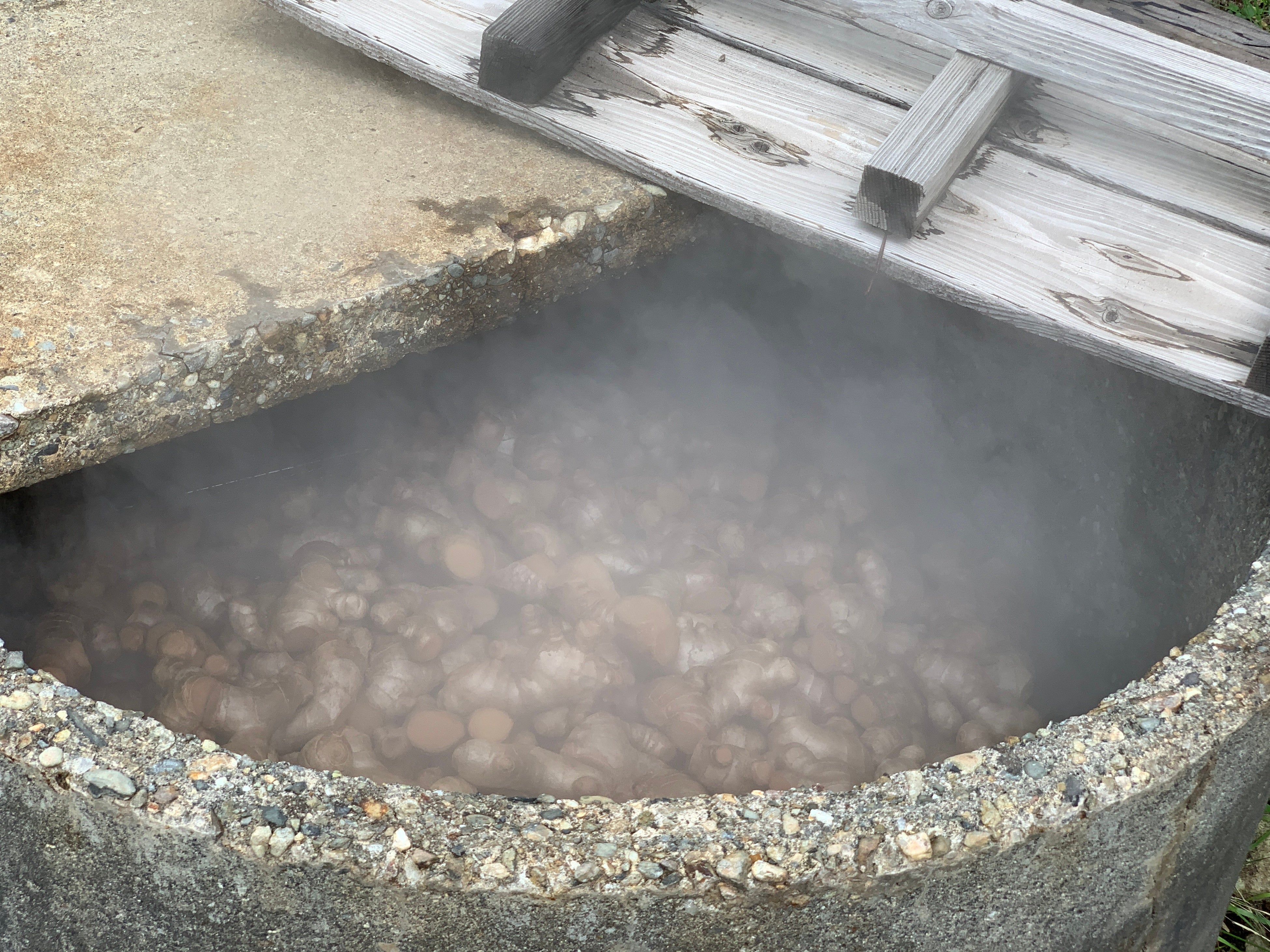 地獄蒸しの様子