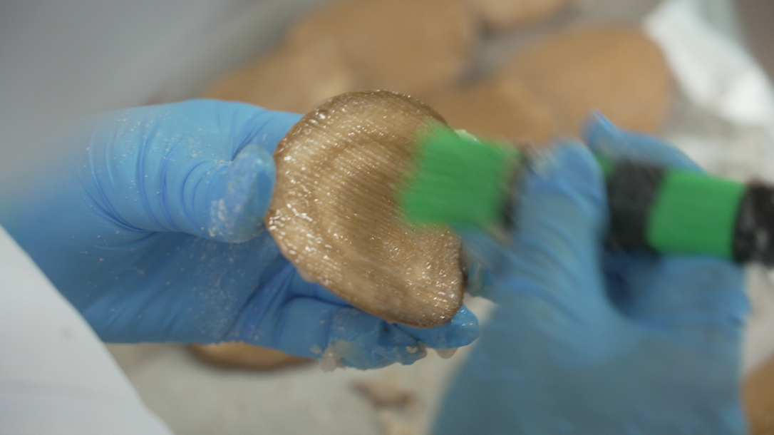 美しい刷毛目を描く職人業