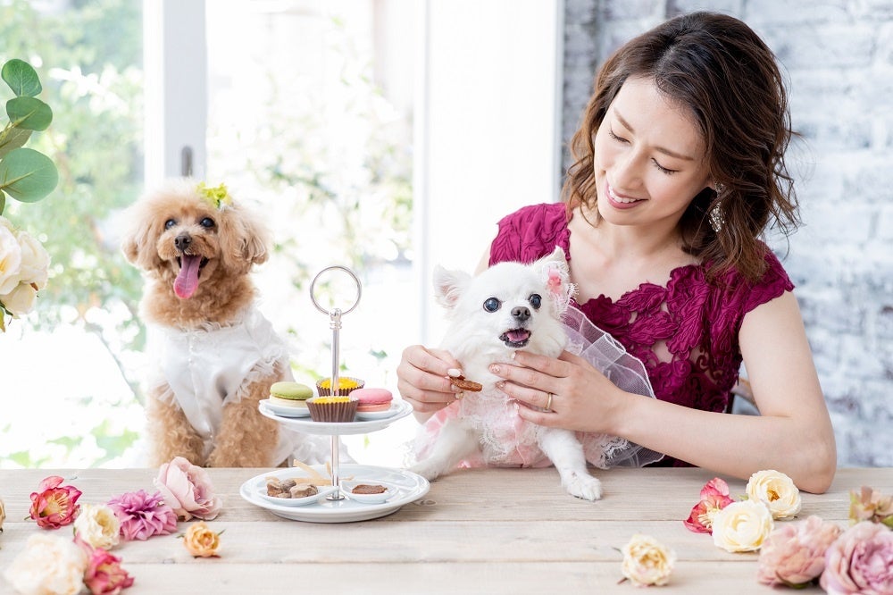 飼い主さんと一緒にアフタヌーンティパーティ