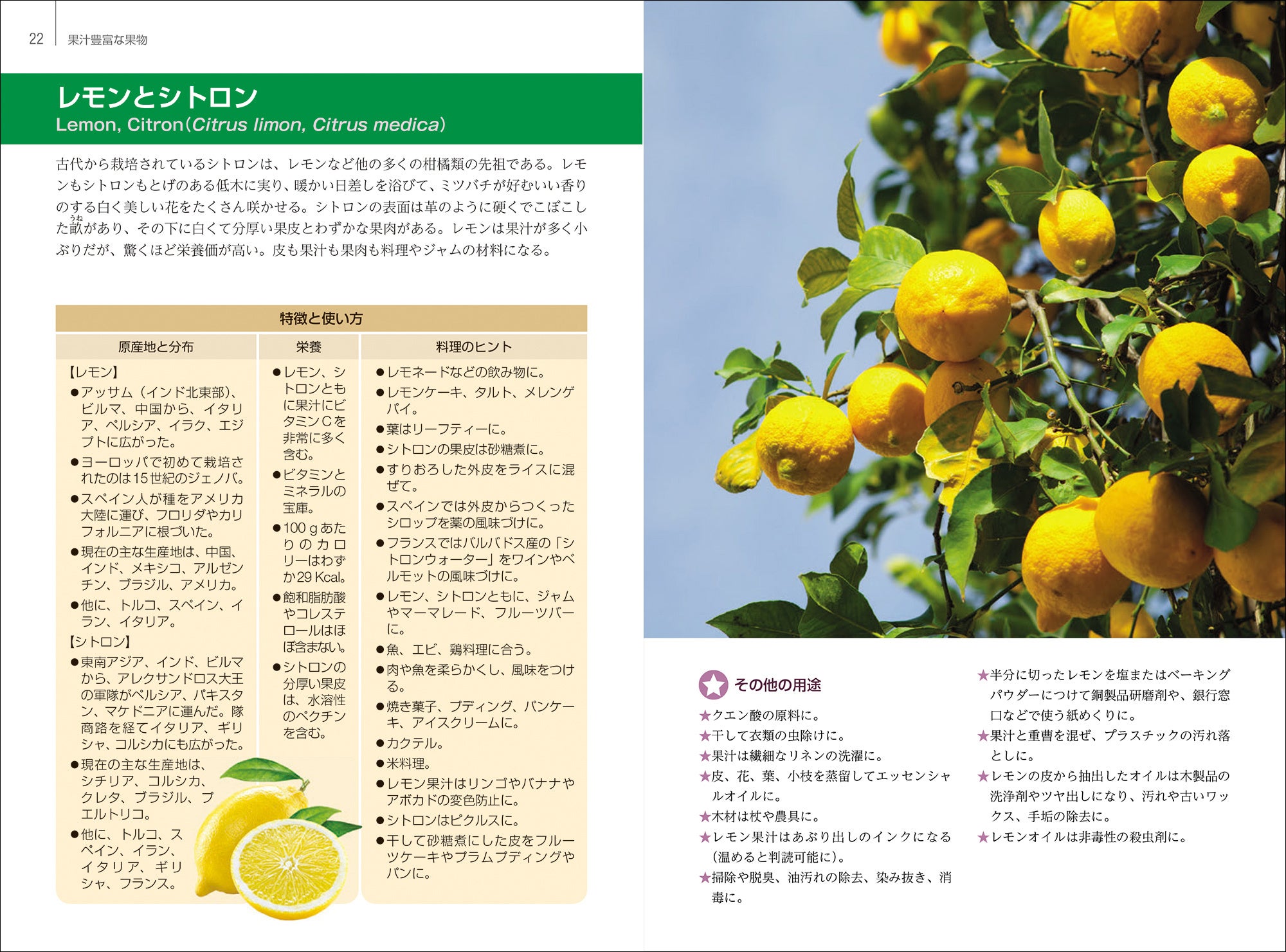 サンプルページ／果汁豊富な果物[レモンとシトロン]