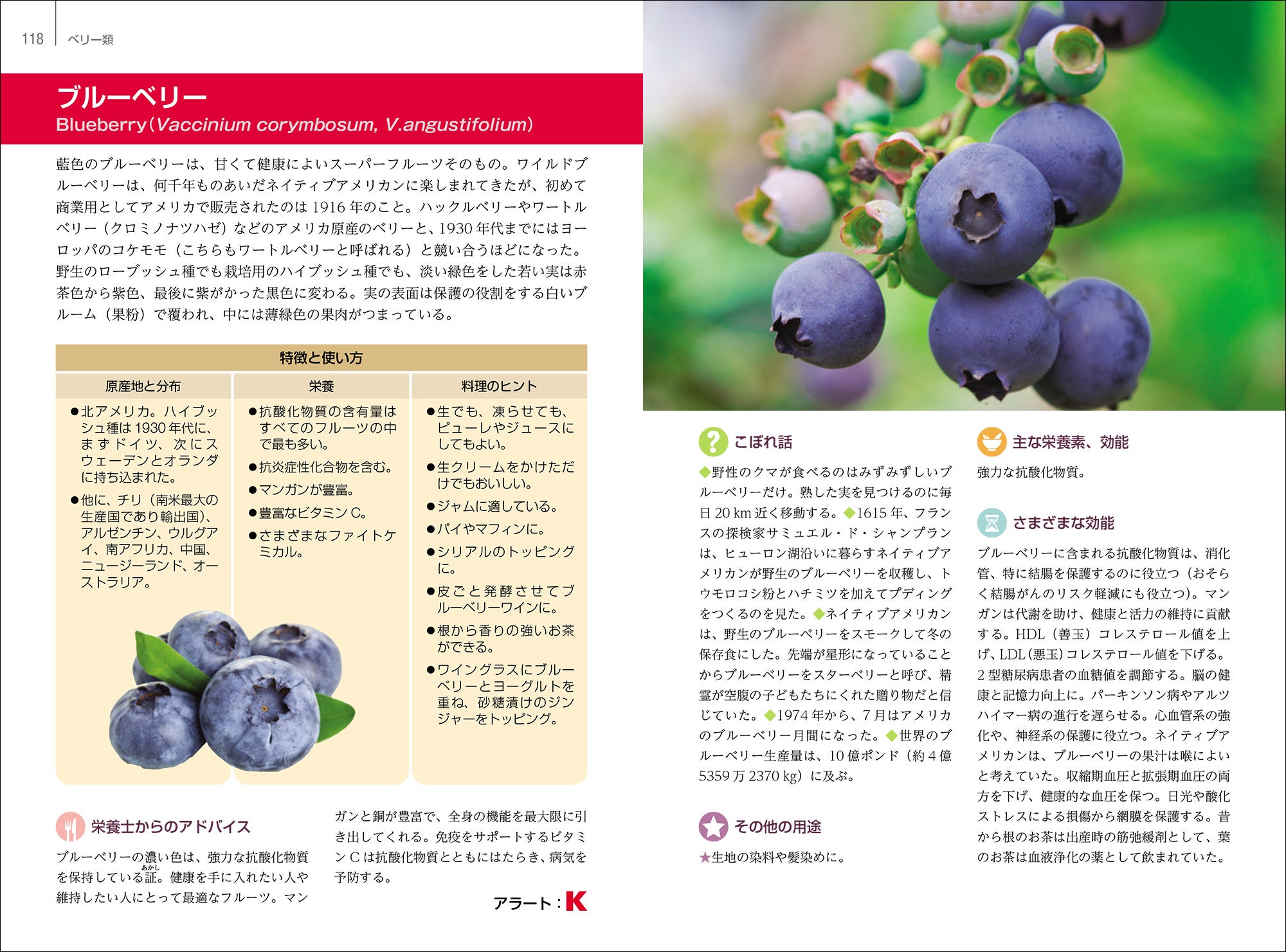 サンプルページ／ベリー類[ブルーベリー]