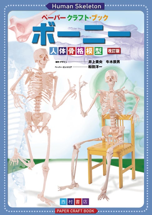 ボーニー〔人体骨格模型〕改訂版(西村書店)
