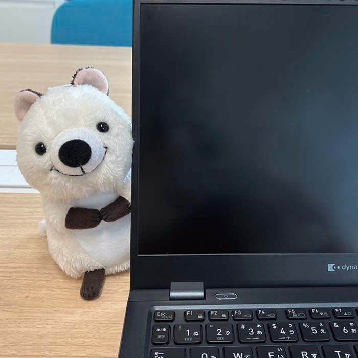 世界一幸せな動物」クオッカのキュートな笑顔に癒される！ワラビーの