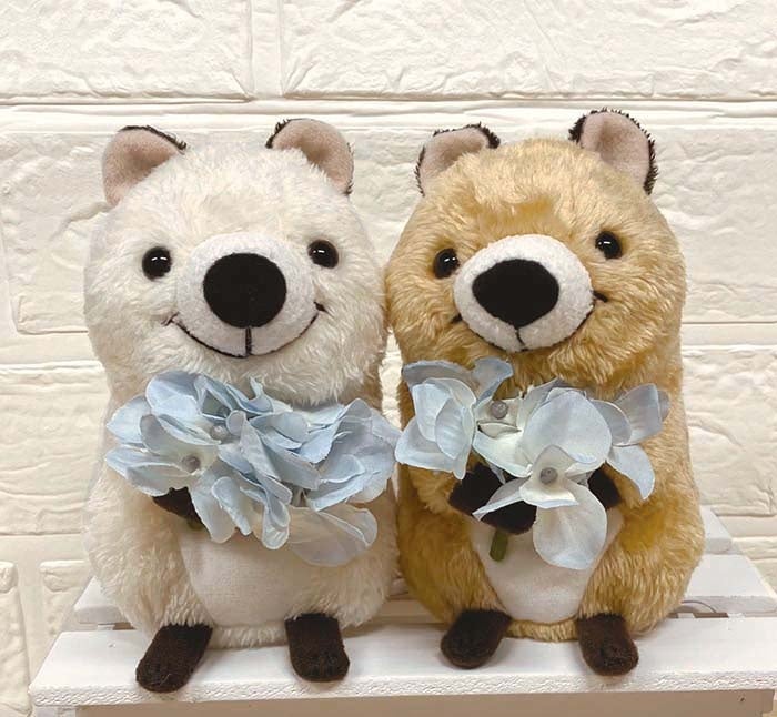 世界一幸せな動物」クオッカのキュートな笑顔に癒される！ワラビーの