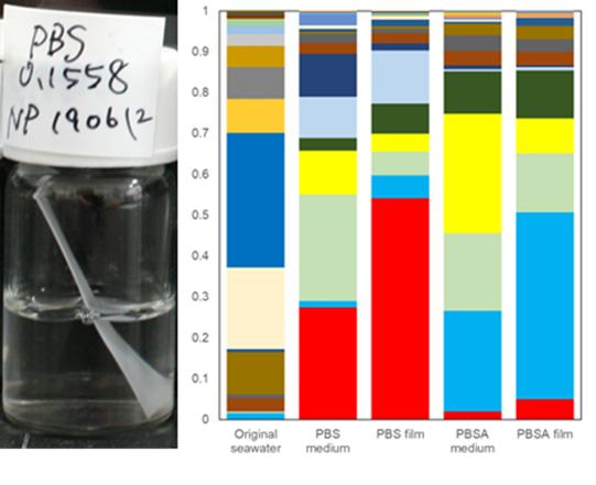 試験管内でのPBSフィルムの分解系とビブリオ科細菌群の増加。