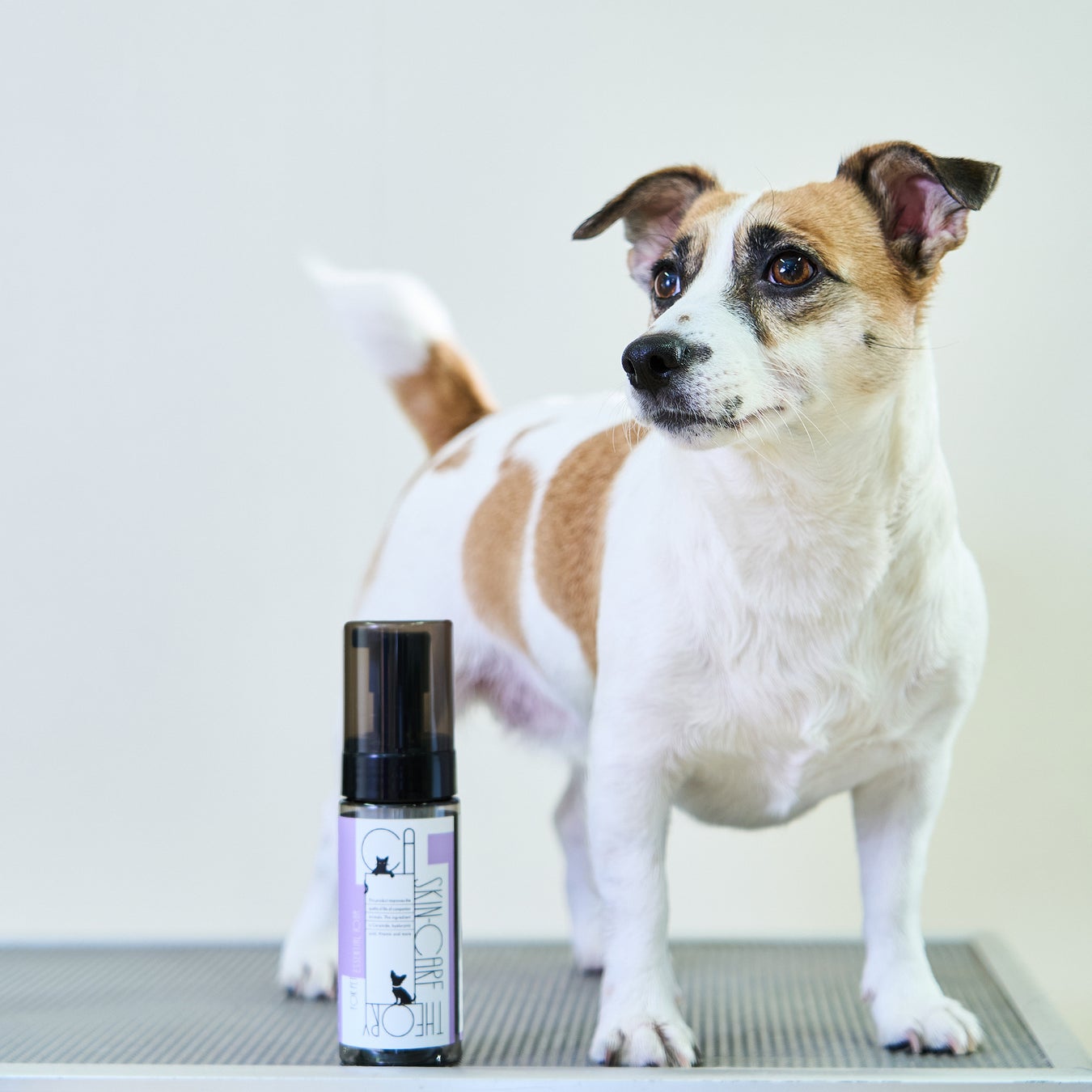 天然由来成分にこだわり、デリケートな犬・猫にとって優しい仕様