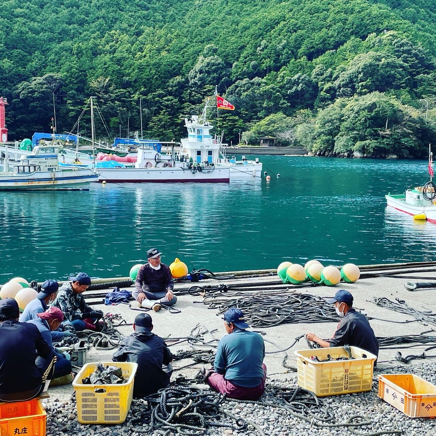 定置網の網の補修をする乗組員