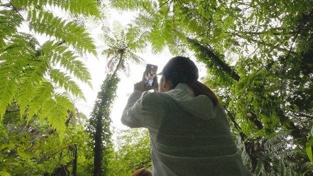 世界自然遺産登録5周年に向け奄美大島、徳之島、沖縄島北部、西表島のPR動画を公開(二次利用可)