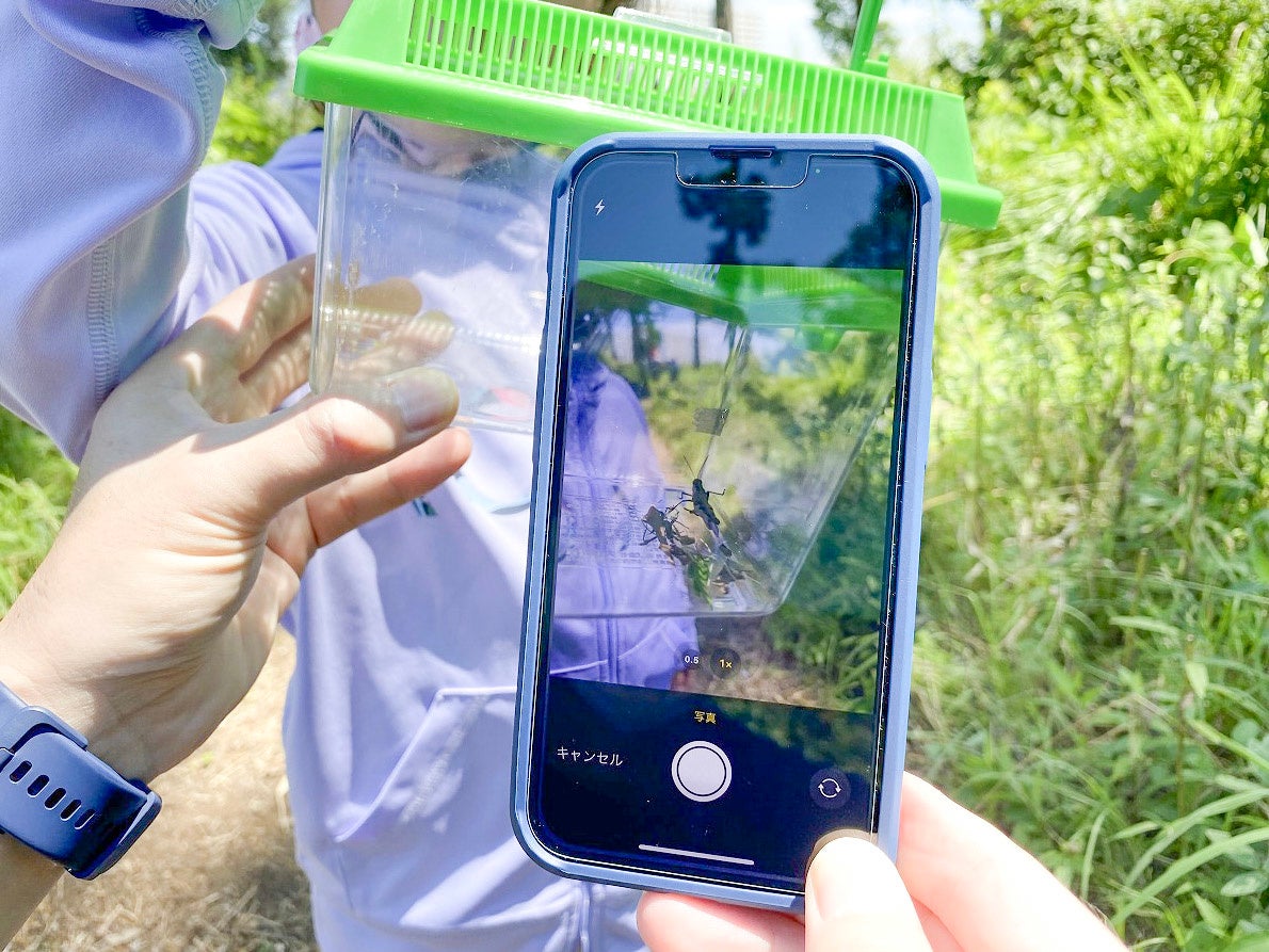 いきものを撮影