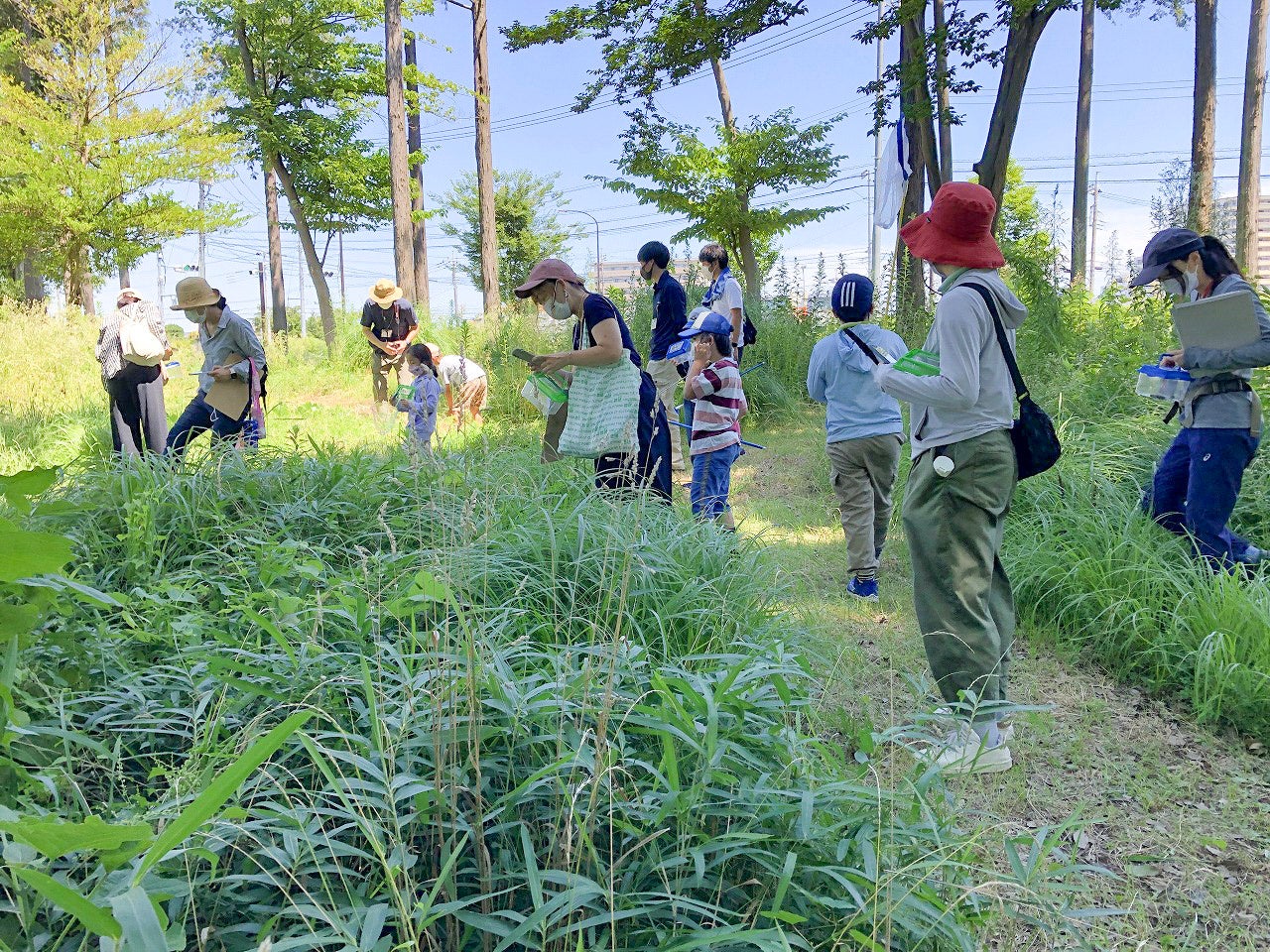 つるまの森を探検