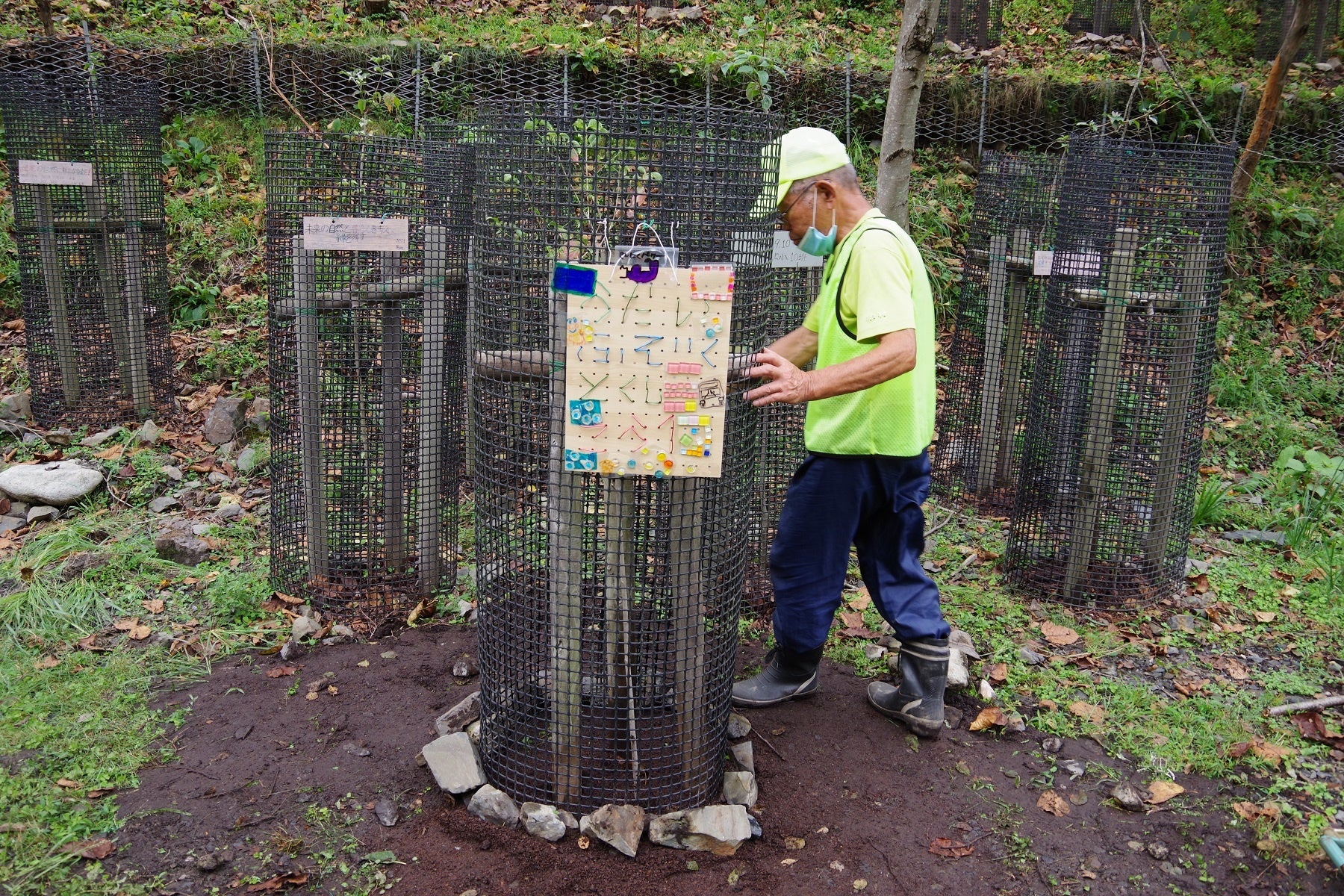 実は植樹後も足尾に緑を育てる会が丁寧に確認を行っているのです。（2022年9月9日の活動）