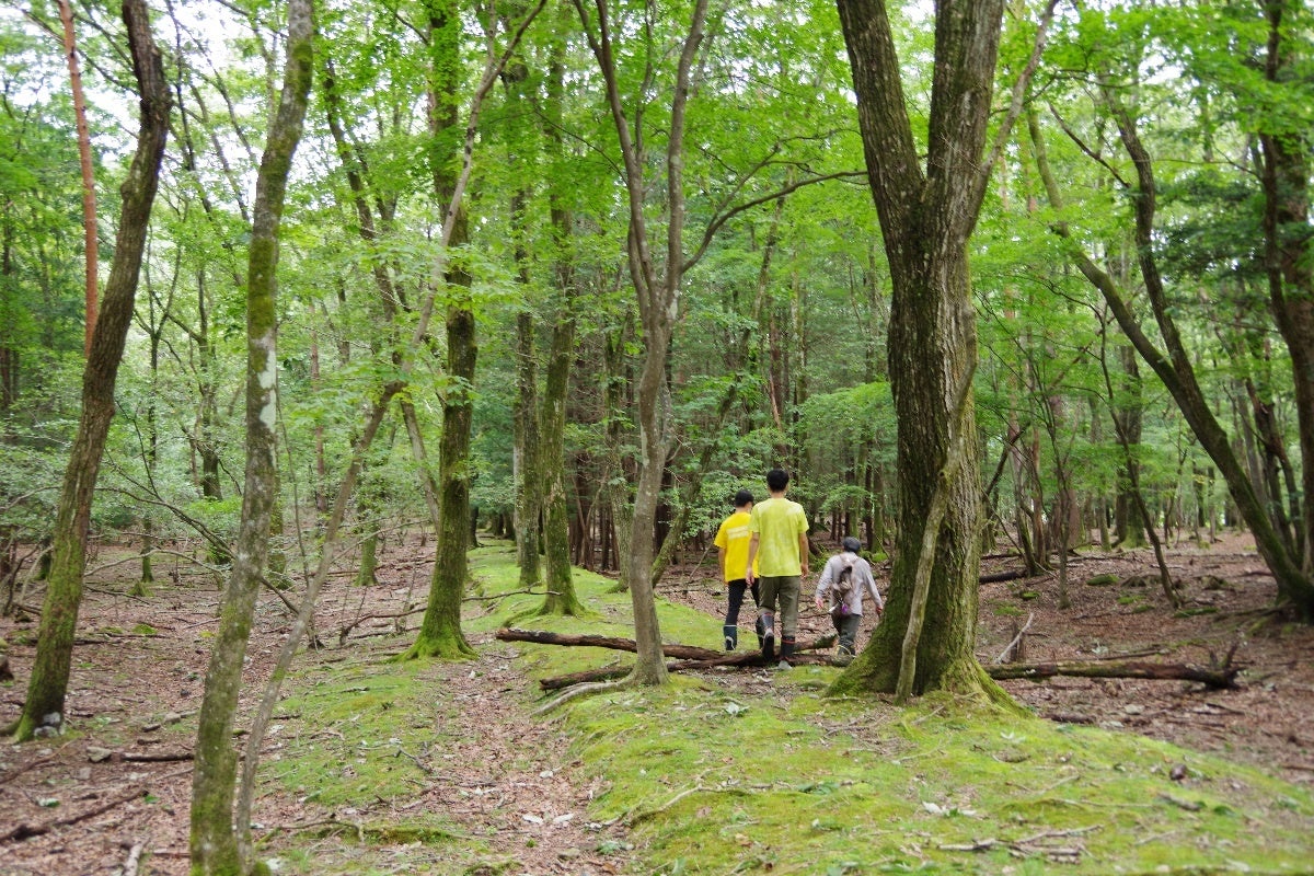 この道の幅は約2.4メートル以上はあった。詳細調査を進められれば様々なことが明らかとなることなると思います。