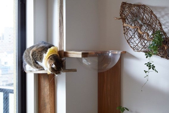 ニャンと嬉しい ニャンダフル住空間 猫時間 登場 猫の気持ち 飼い主の気持ち 株式会社みるとのプレスリリース ニャンと嬉しい ニャンダフル住空間 猫時間 登場 猫の気持ち 飼い主の気持ち 株式会社みるとのプレスリリース