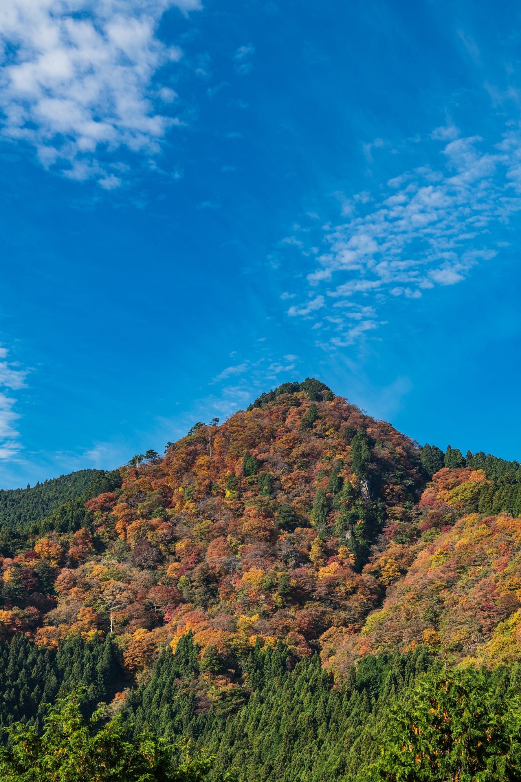 パワースポット「奥の院」