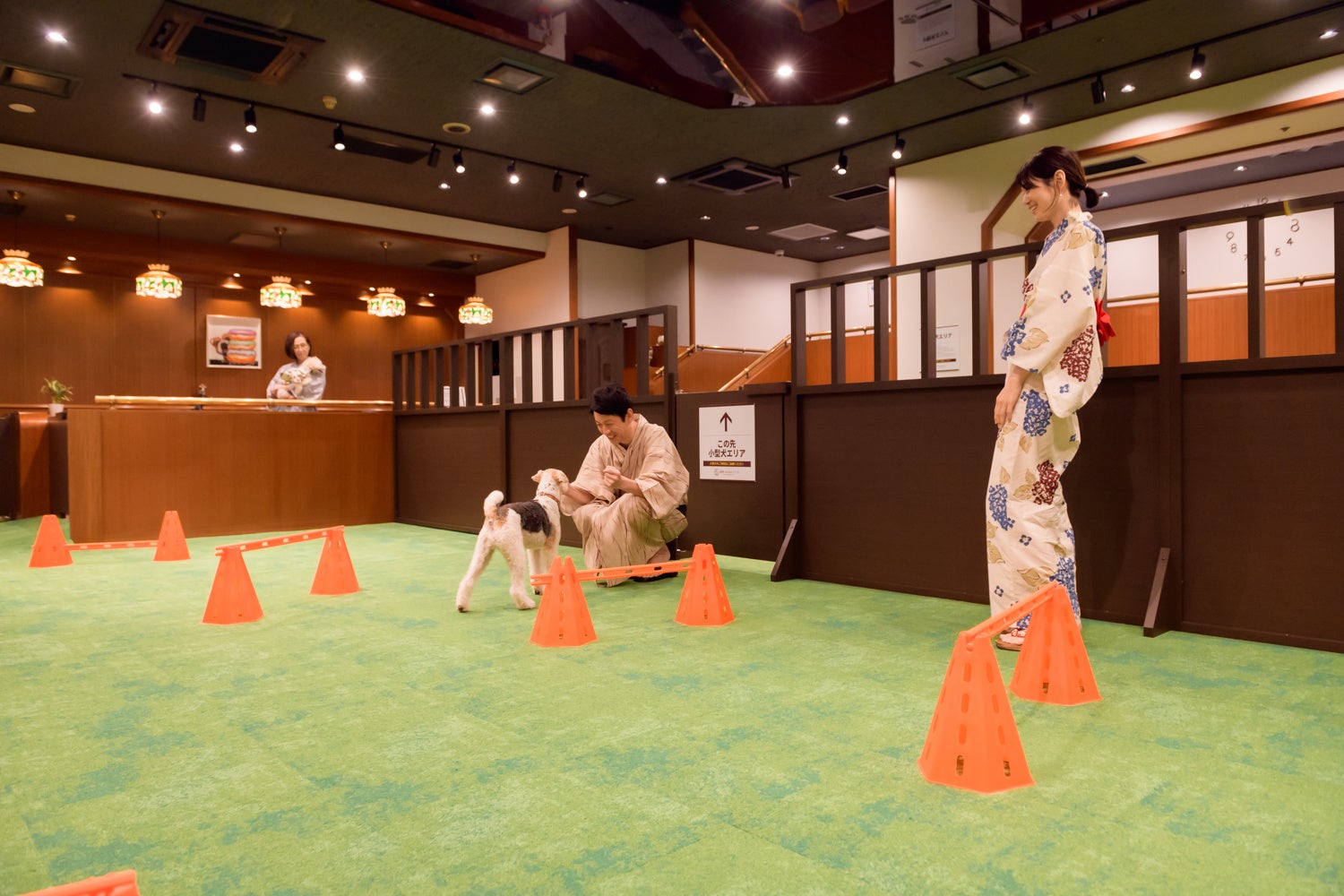 屋内ドッグラン