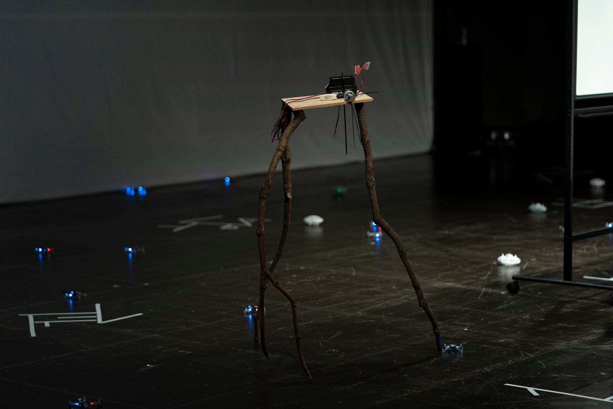 Photo by Yuri Manabe